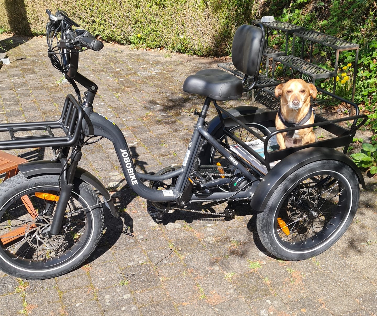 Customer photo review of JOBOBIKE Triker