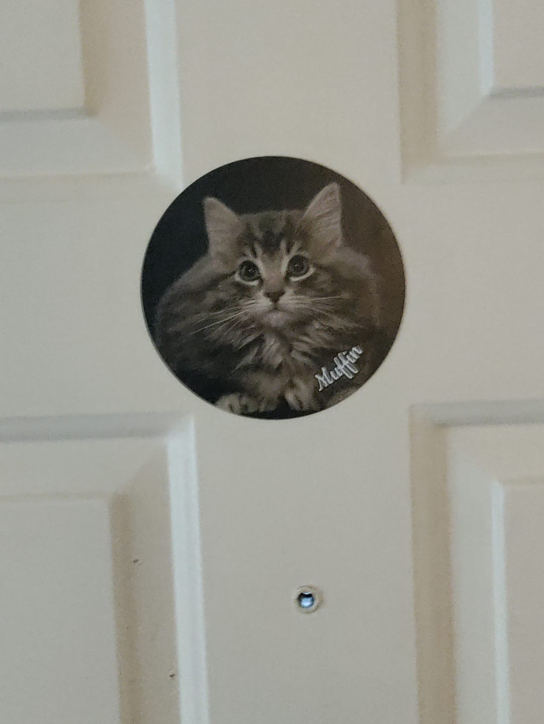 Customer photo review of Your photo - Personalized Car Magnet