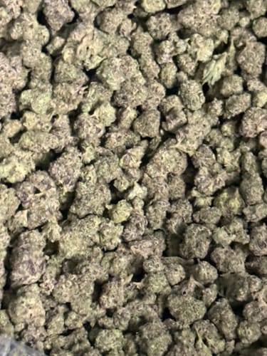 Boutique Exotics Berry Pop Minis - Großgebinde Minis - Hybrid photo review