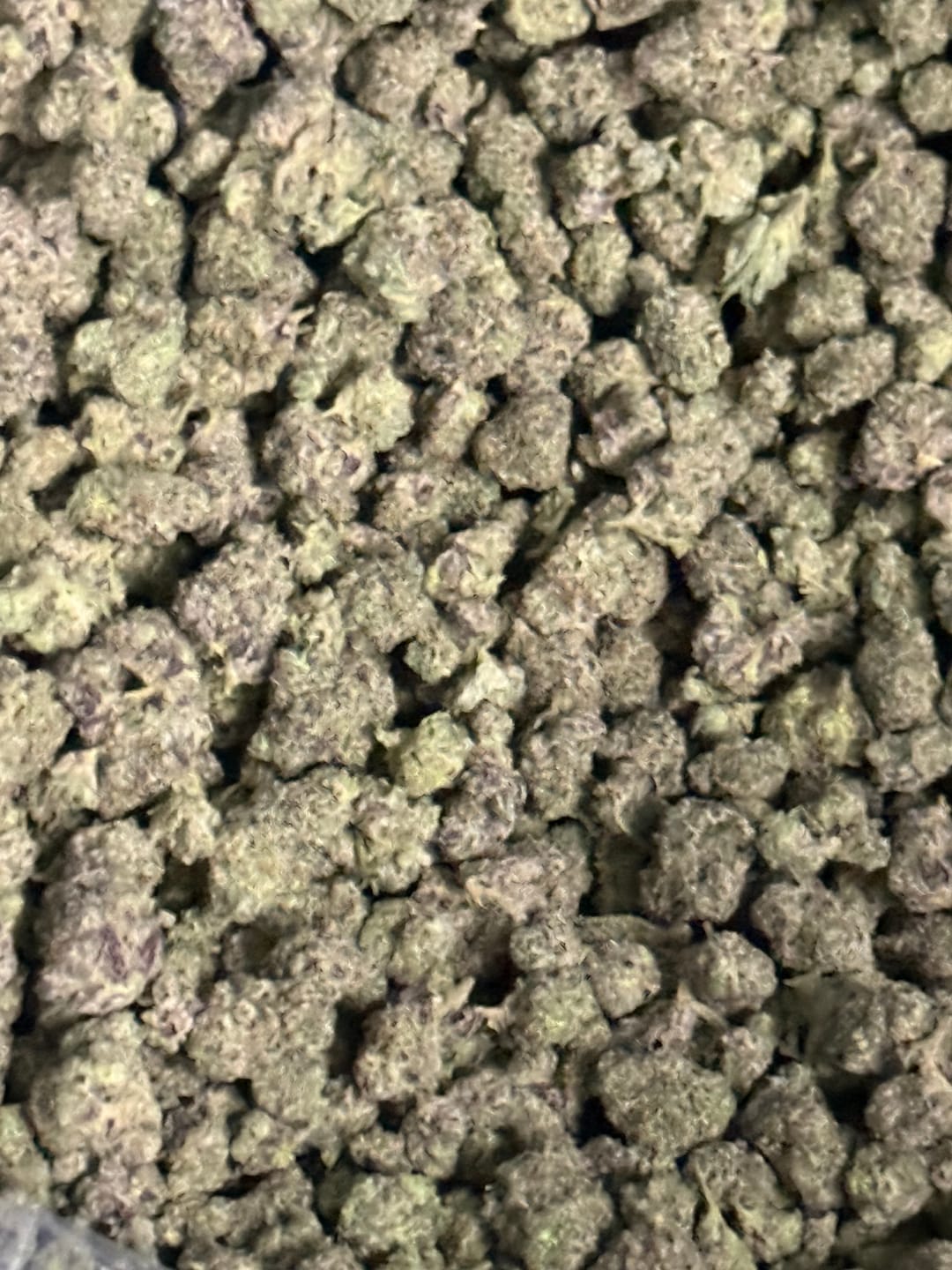 Customer photo review of Boutique Exotics Berry Pop Minis - Bulk Minis - Hybrid