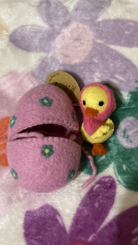 Customer photo review of Felt Surprise Egg with Yellow Duckling Inside