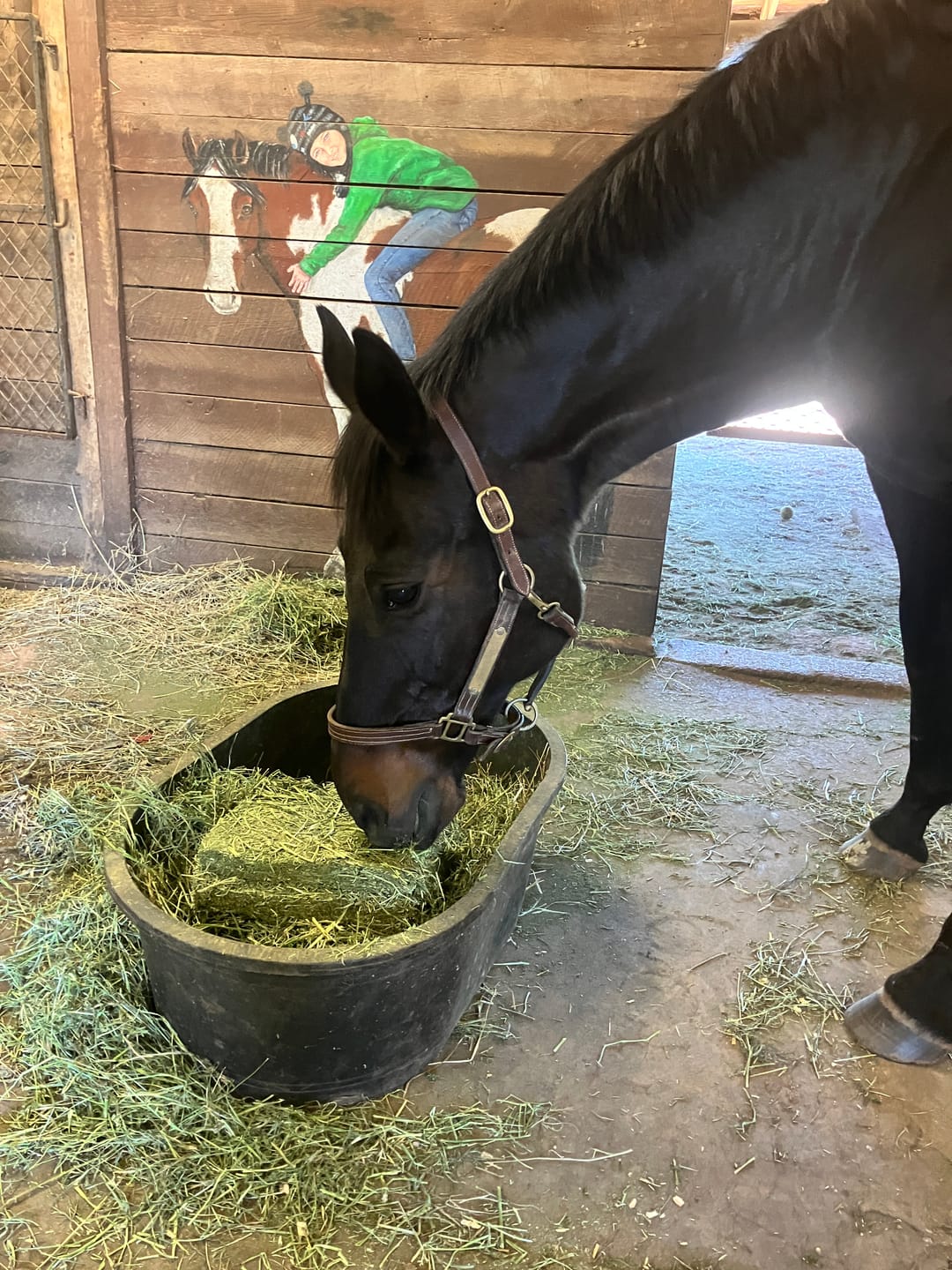 Customer photo review of Timothy Orchard Alfalfa Mix Hay2nd Cut (Click here for Qty Discount)