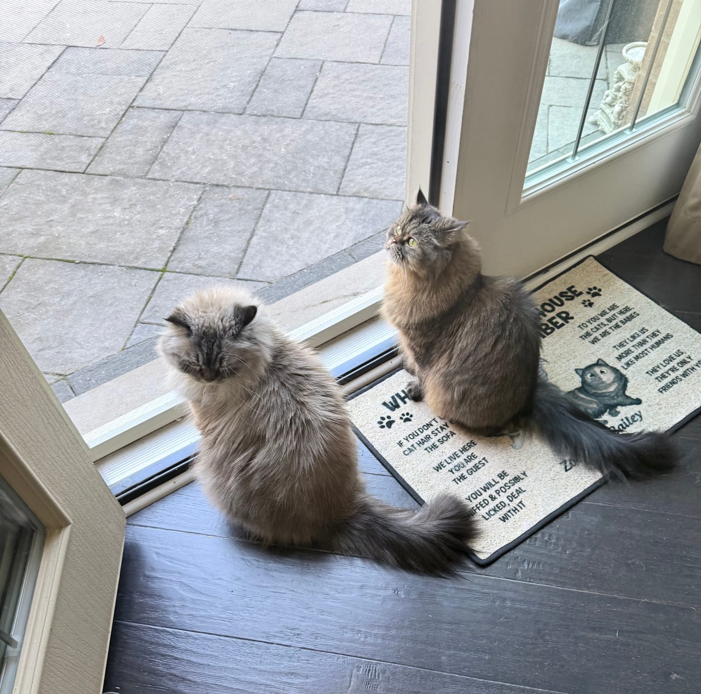 Customer photo review of Please Remember When Visiting Cats House Personalized Doormat
