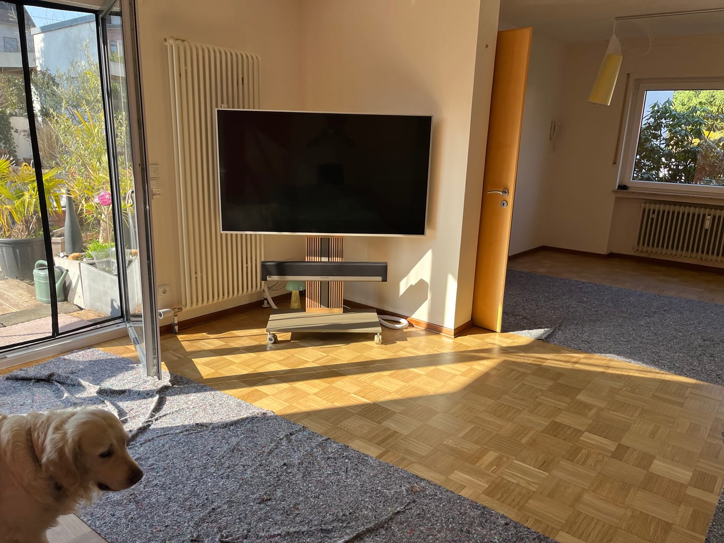 Customer photo review of Zen FT88 TV Stand