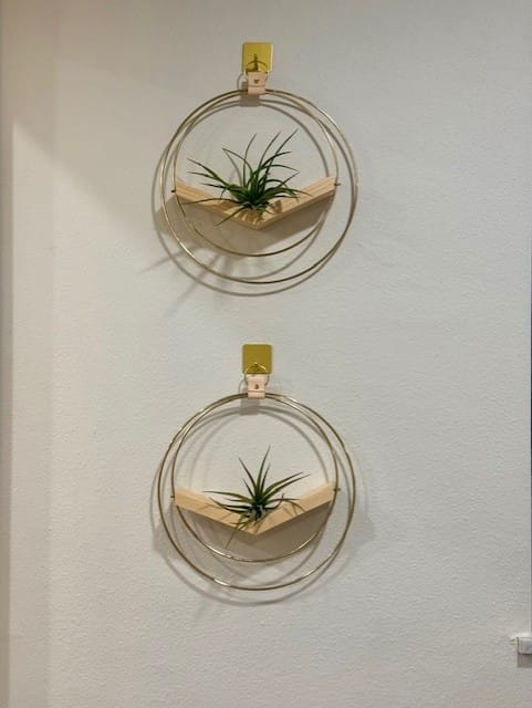 Customer photo review of Air Plant V-Hanger