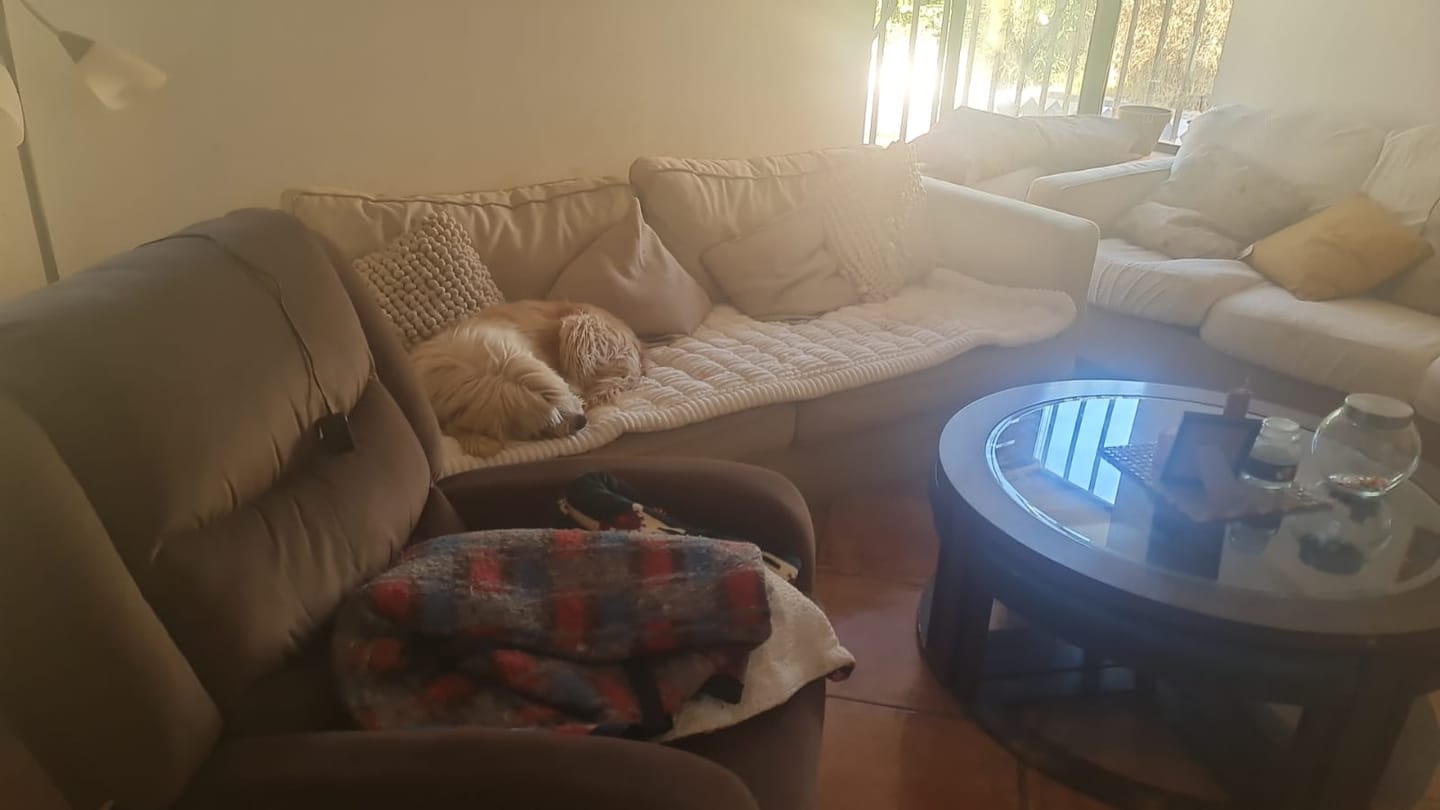 Customer photo review of Majestuoso · Protector Premium para Sofá