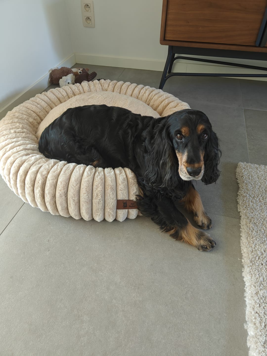 Customer photo review of Pet Perfect Orthopedische Donutmand