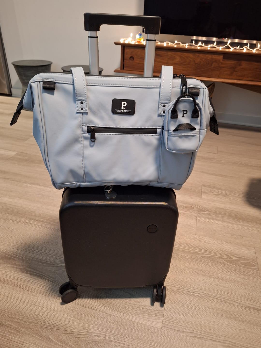 Customer photo review of Cascade Tote - Compact