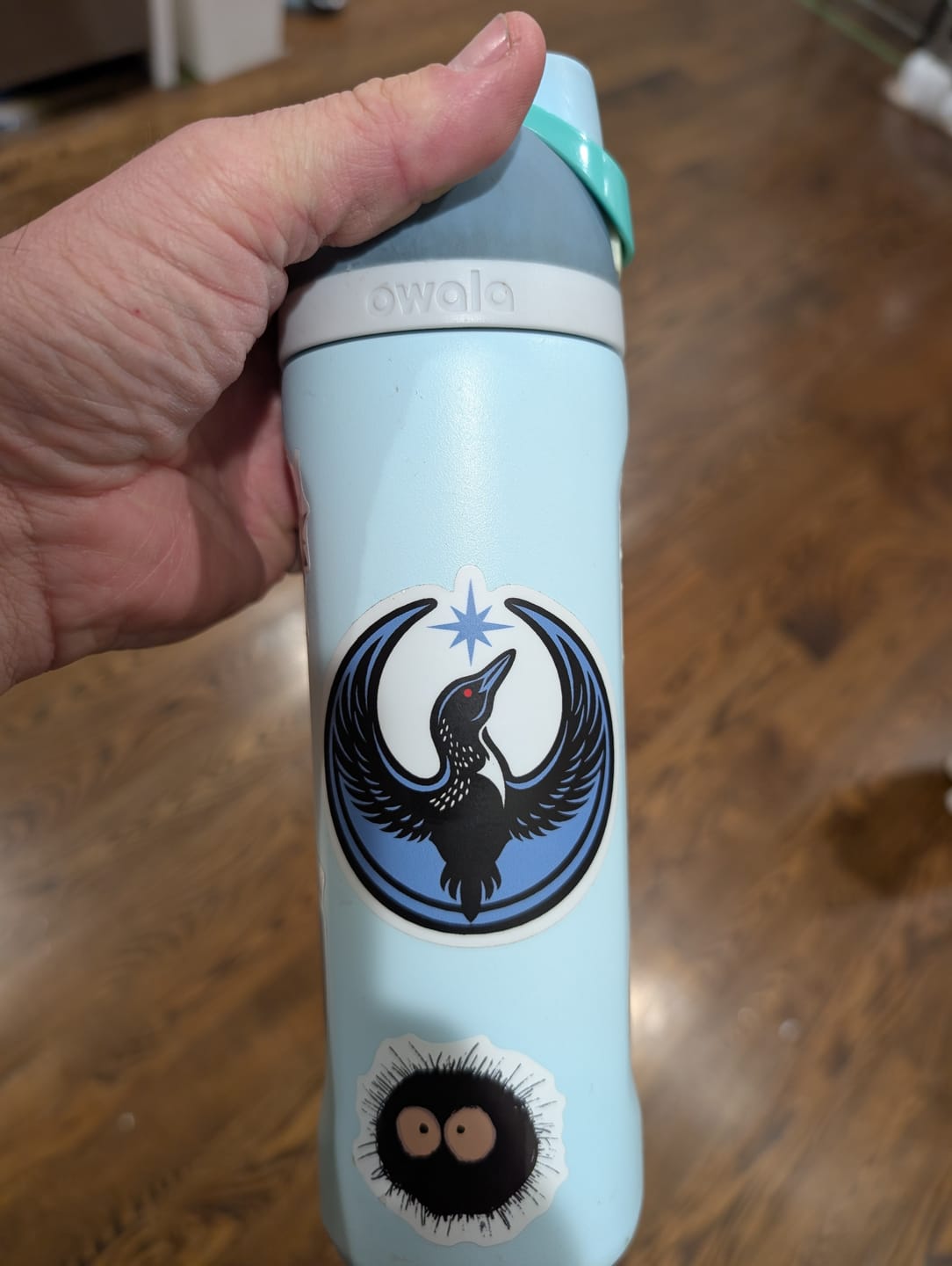 Customer photo review of Rebel Loon Sticker