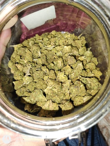 Customer photo review of Cheap THCA Smalls Quarter Pound