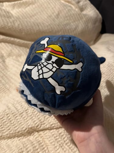 Customer photo review of 30cm Laboon Whale & Pirate Crew Stuffed Plush Dolls Set for Kids Gift