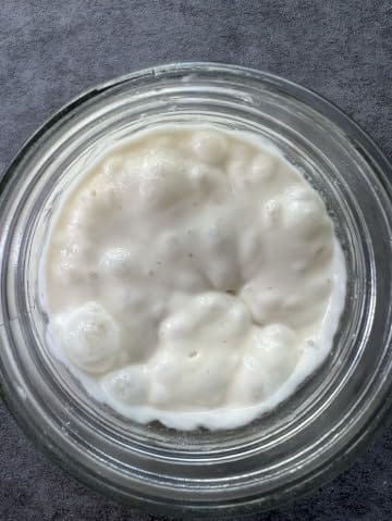 Customer photo review of Living Jin Foods: Sourdough Starter