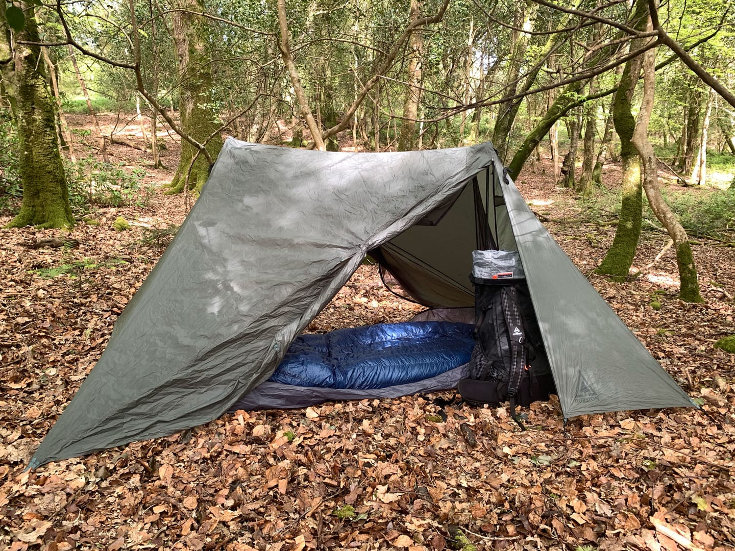 Customer photo review of Waratah