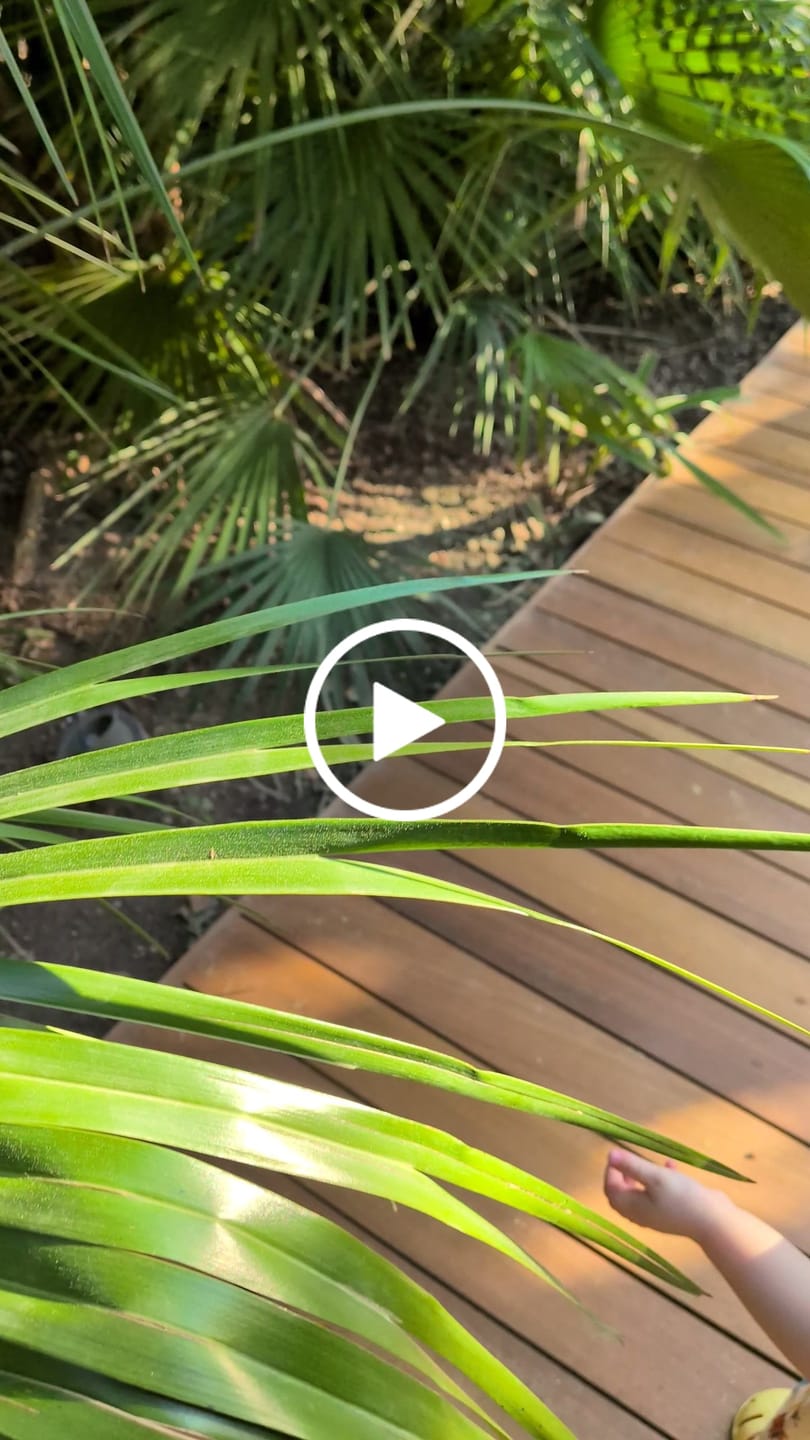 Customer video review of Cream Extraordinary Organic T Shirt & Jogger Playset