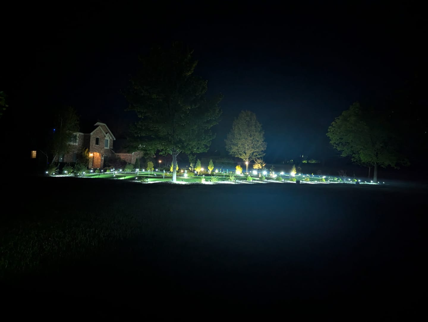 Customer photo review of TSUN Solar Landscape Spotlights