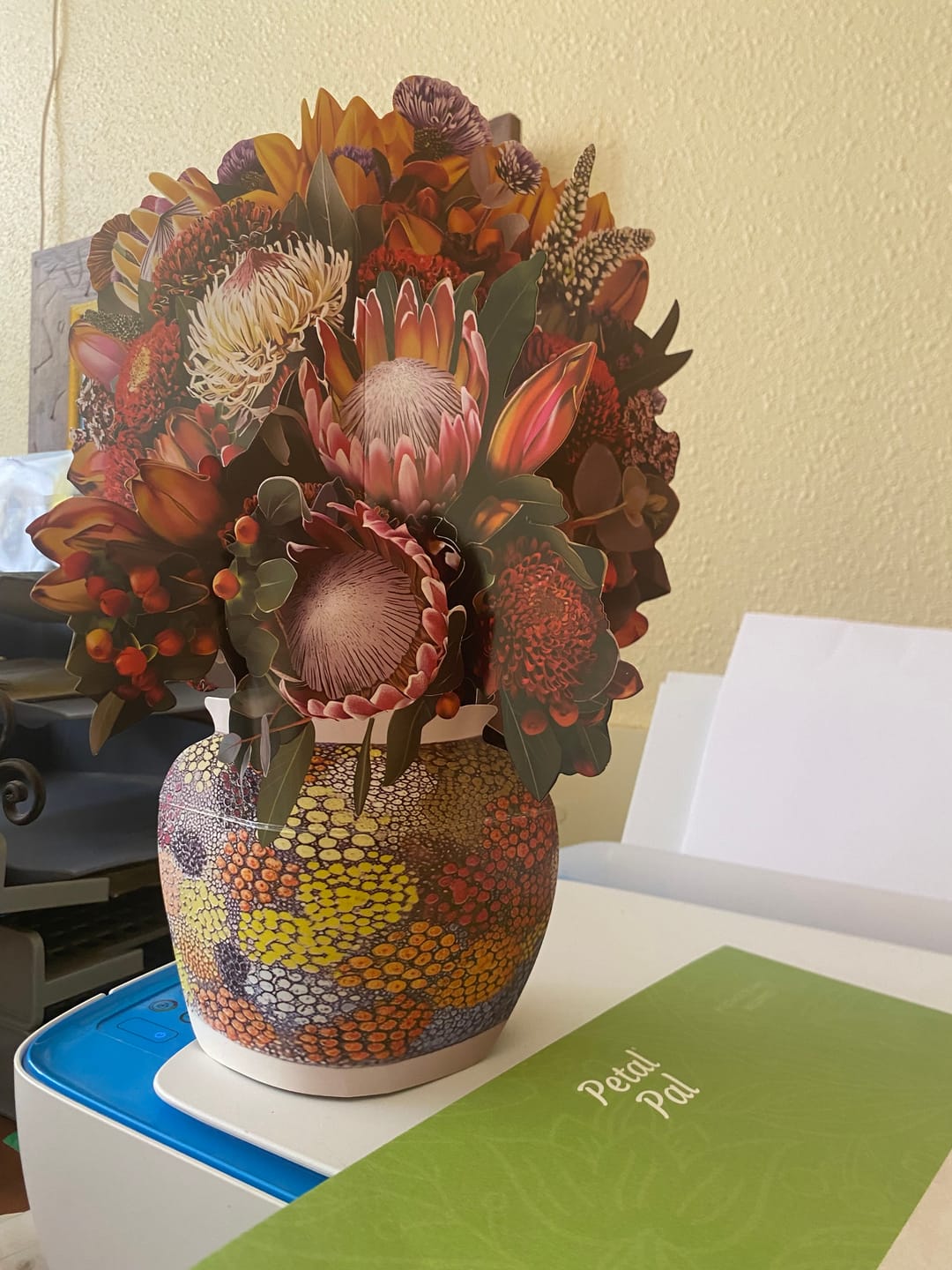 Customer photo review of Illawarra Essence Pop-Up Bouquet