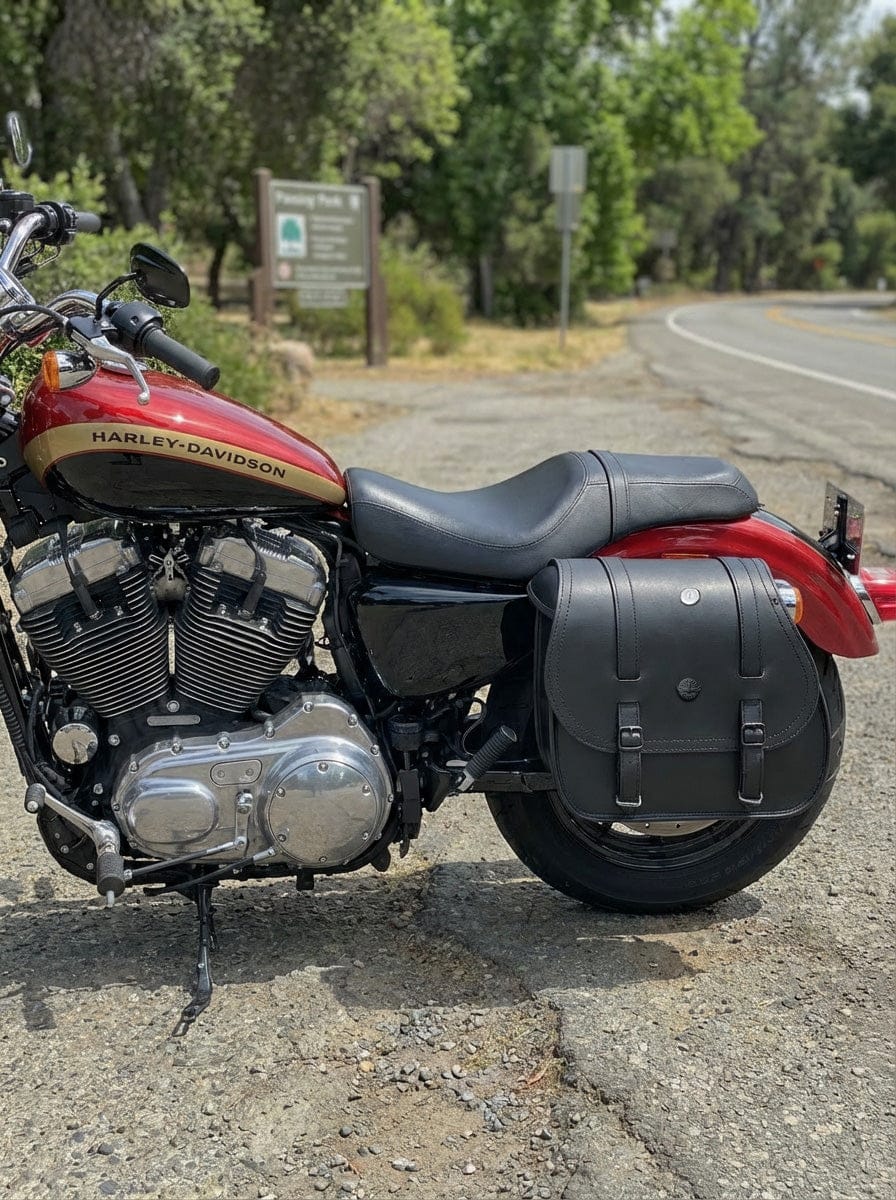 Customer photo review of 30L - Ghost Large Shock Cutout Motorcycle Saddlebags For Harley Sportster 1200 Custom XL1200C