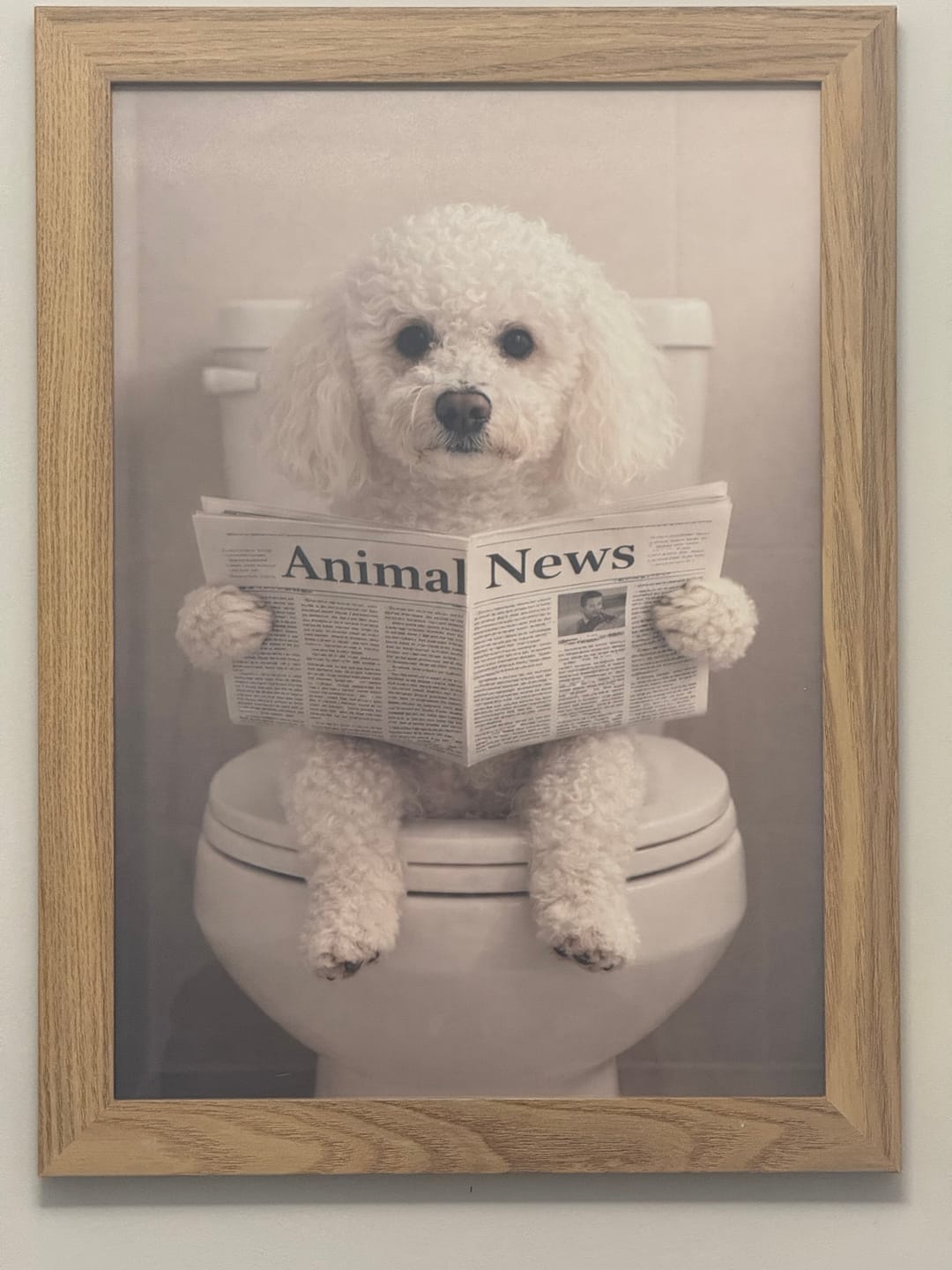 Customer photo review of Bathroom -  Personalised Poster