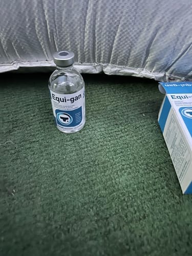 Customer photo review of Equi-gan