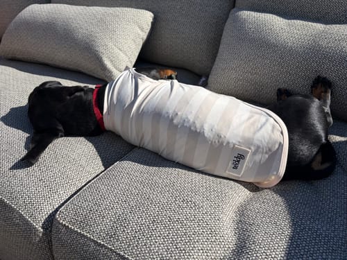 Customer photo review of Hazelnut Stripe | Summer Breeze Cooling Vest