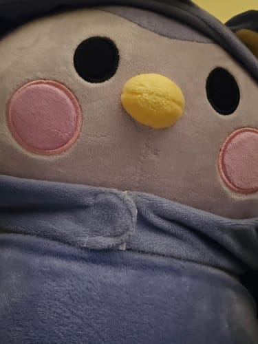 Customer photo review of Finch Plushie with Removable Costume - Your IRL Emotional Support Birb