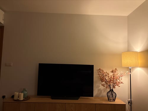 Recensent toont de zwarte Mia Vaas met bloesemtakken op een dressoir naast een tv.