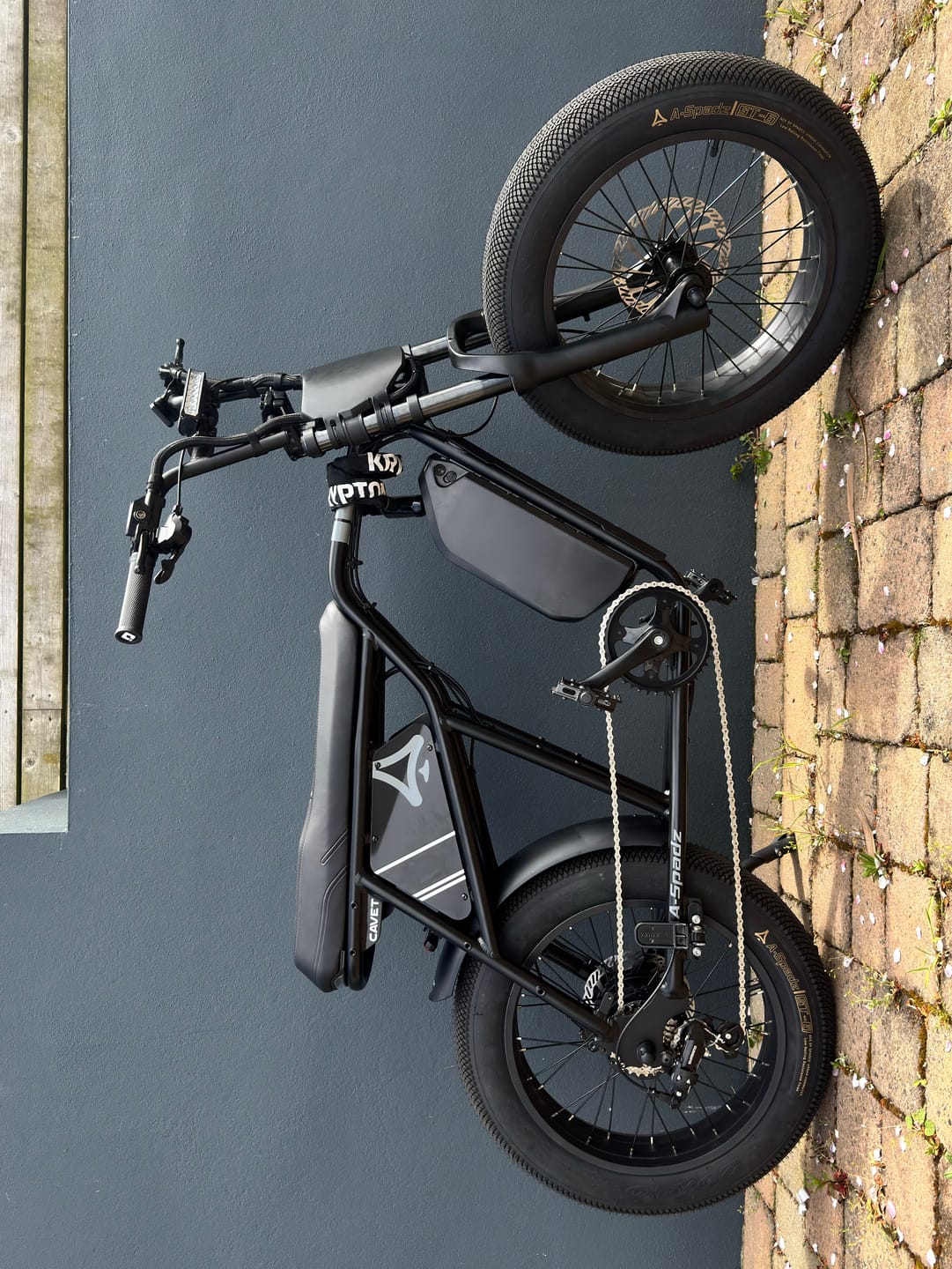 Customer photo review of Gifts Pack（Includs – Foot Peg, Fender & Chainguard!）