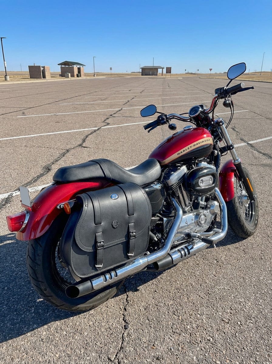 Customer photo review of 30L - Ghost Large Shock Cutout Motorcycle Saddlebags For Harley Sportster 1200 Custom XL1200C