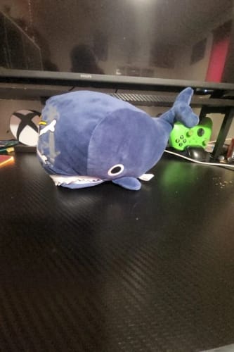 Customer photo review of 30cm Laboon Whale & Pirate Crew Stuffed Plush Dolls Set for Kids Gift