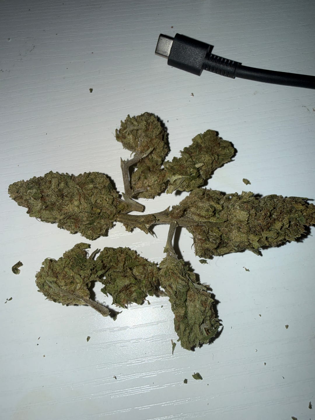 Customer photo review of Double Dream - Bulk - Sativa