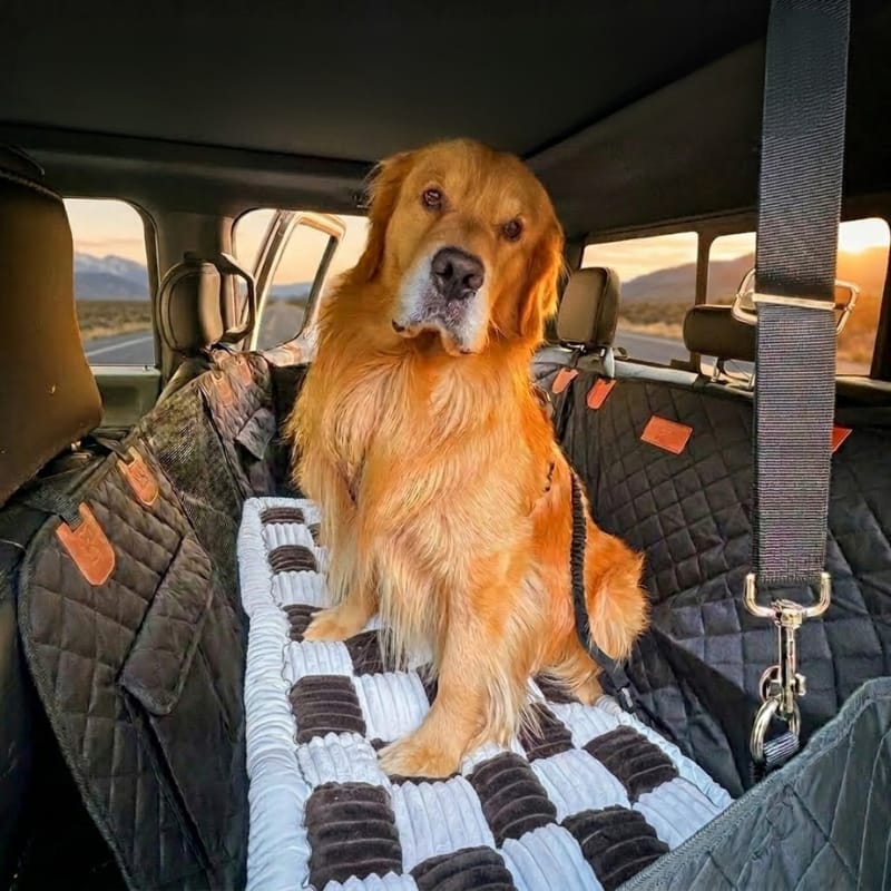 Customer photo review of CozyRider™ 3.0 XL