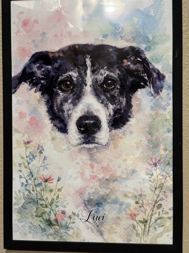 Customer photo review of Watercolor - Personalized Poster