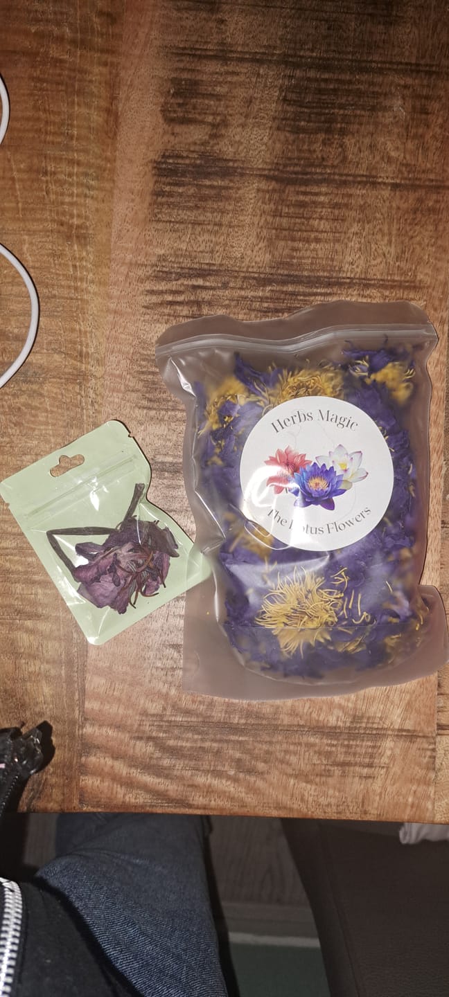 Customer photo review of PRE ORDER Blue Lotus Flower (Nymphaea caerulea)