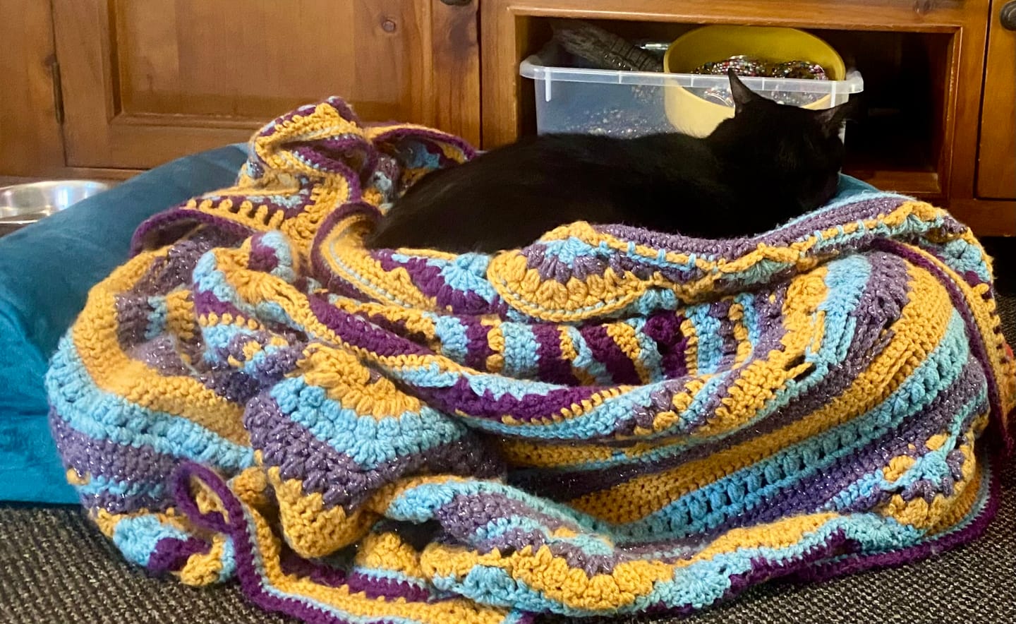 Customer photo review of Pet Sofa Bed