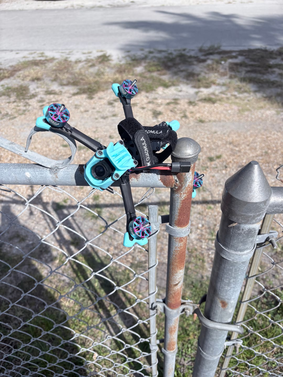 Customer photo review of SirenA F5