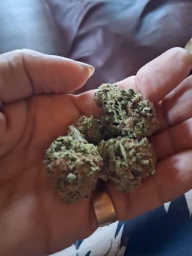 Gelato Kush - Bulk - Indica photo review