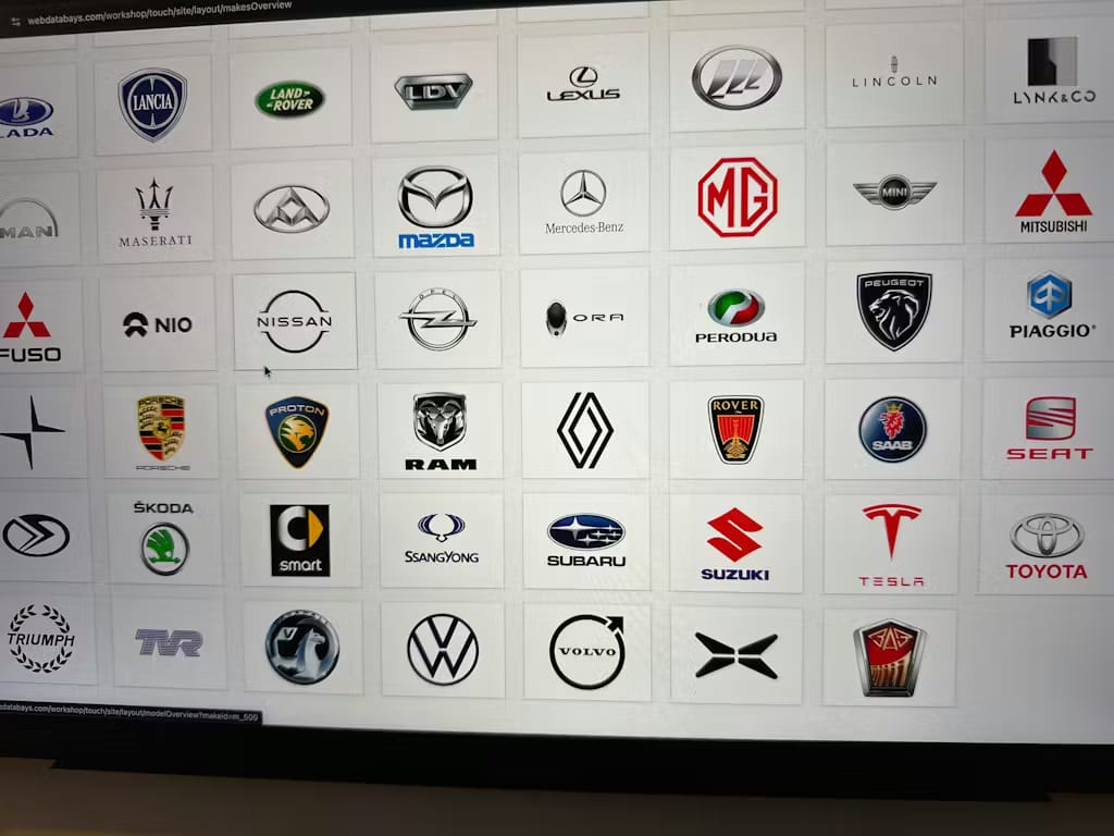 Customer photo review of Professional Repair Software for All Cars