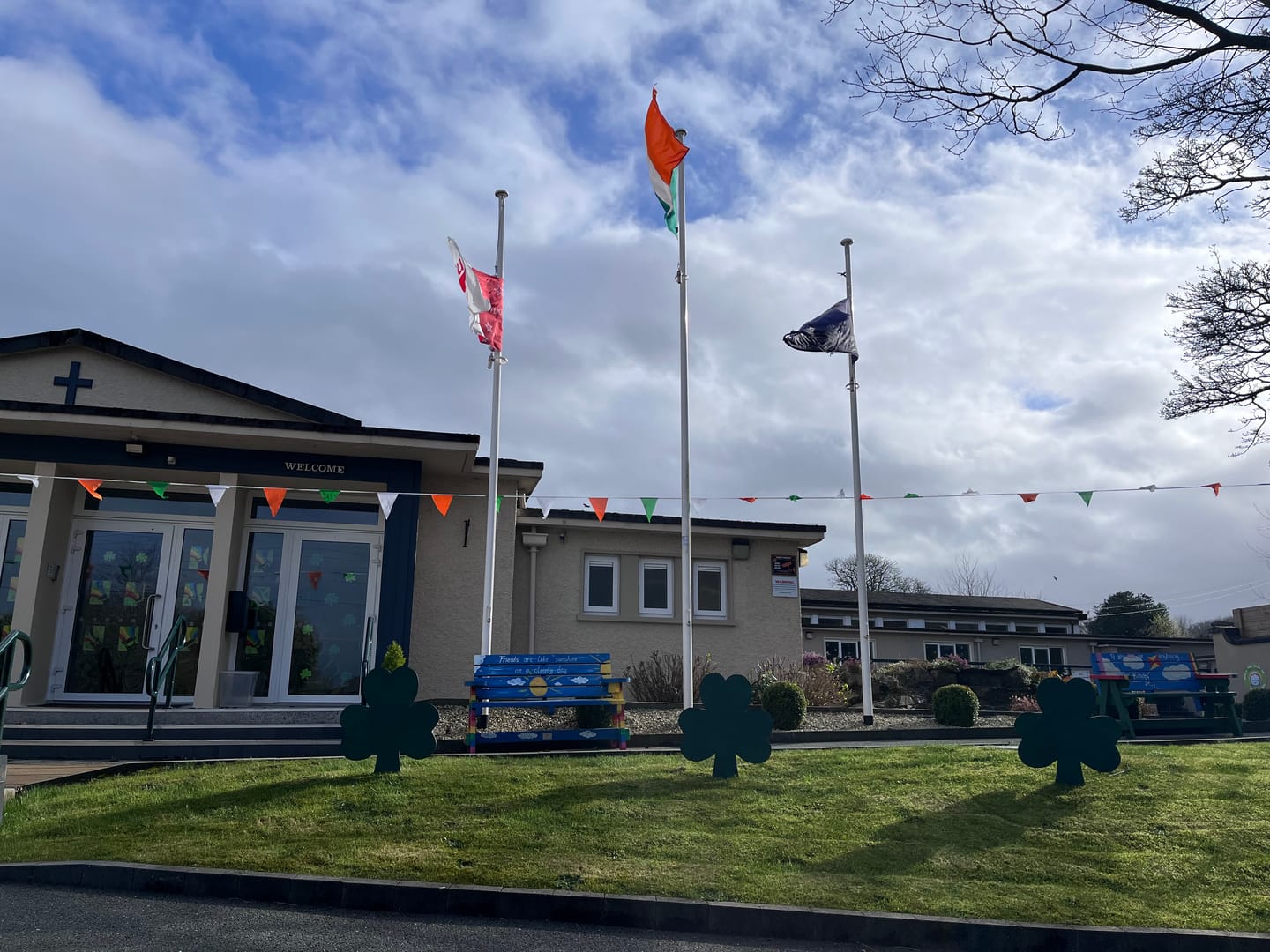 Customer photo review of Ireland National Flag