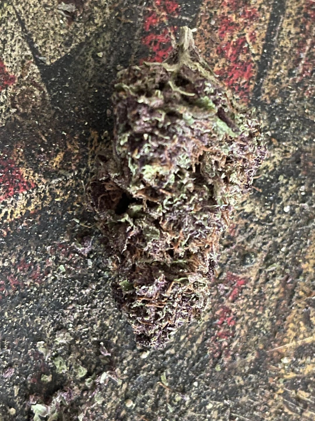 Customer photo review of Granddaddy Purple - 28 Grams - Indica