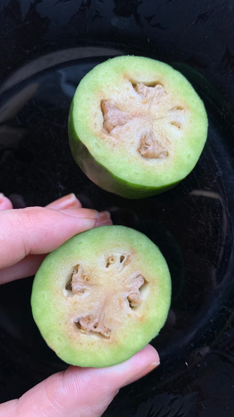 Customer photo review of Feijoa (brasilianische Guave)