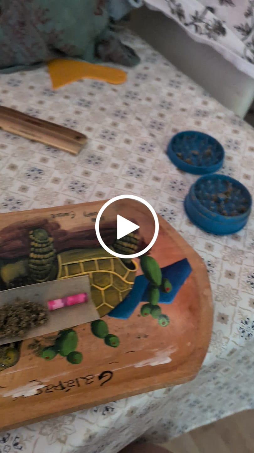 Customer video review of GELATO X 30%
