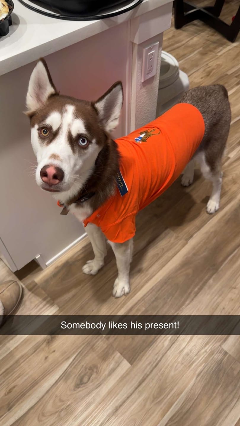Customer photo review of Polo Ralph Lauren Dogs-Polo Bear Shirt