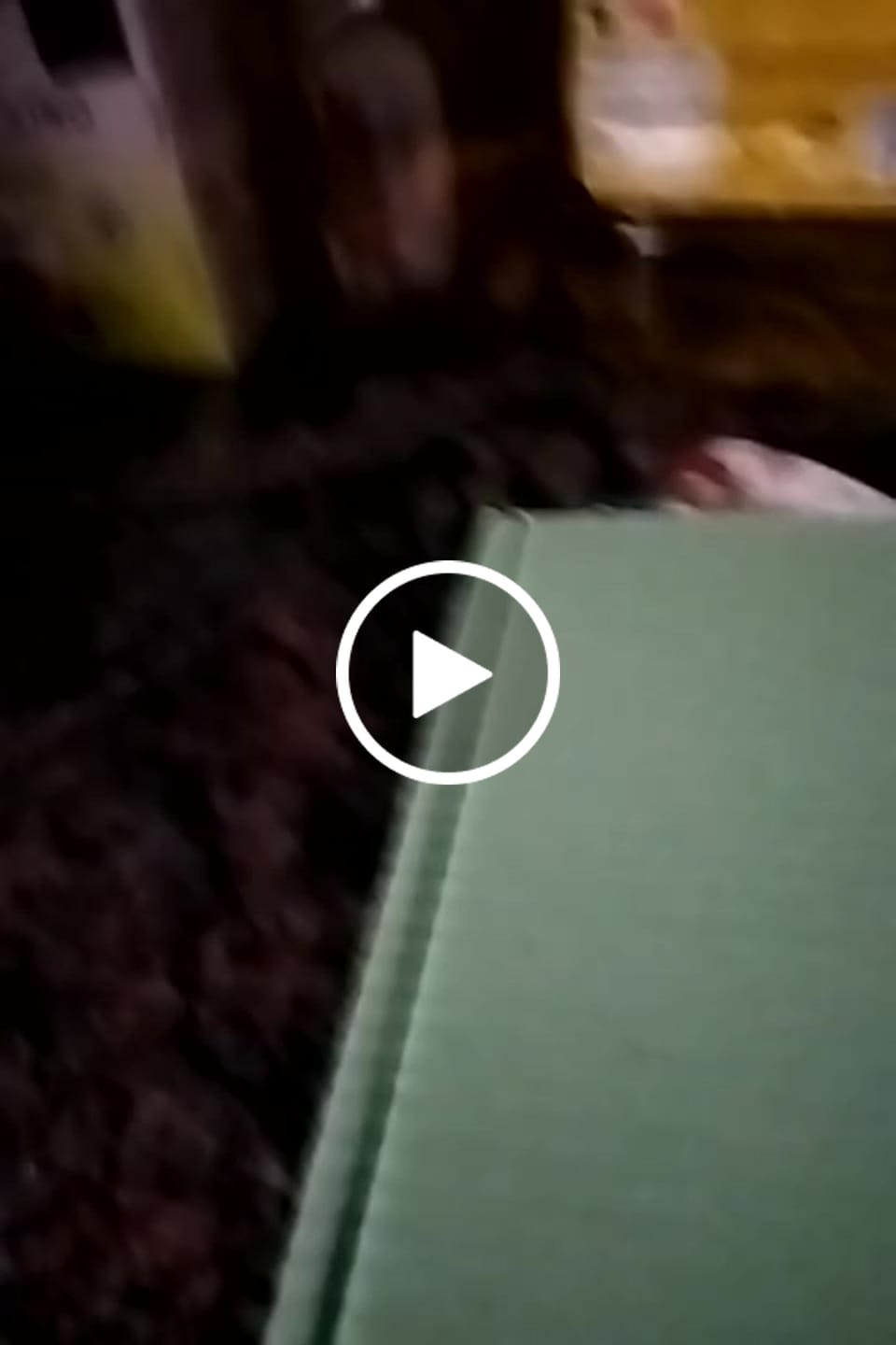Customer video review of Pack Té Matcha Sabores Premium 100% Degustación
