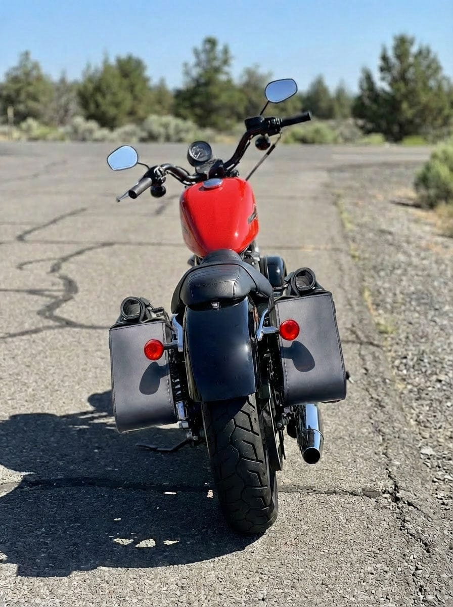 Customer photo review of 35L - Ghost Large Roll-Top Shock Cutout Saddlebags For Harley Sportster Forty Eight XL1200X