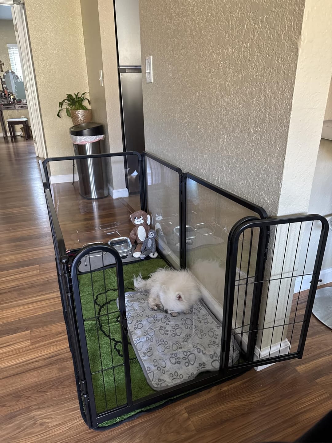 Customer photo review of FXW Acrylic & Wire Mesh Indoor Dog Playpen