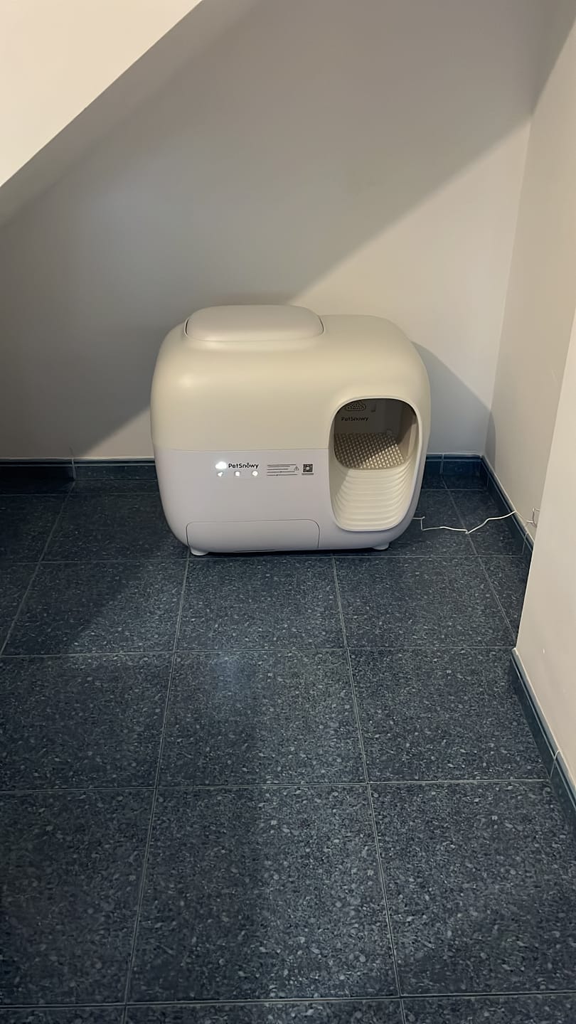 Customer photo review of Self-Cleaning Litter Box