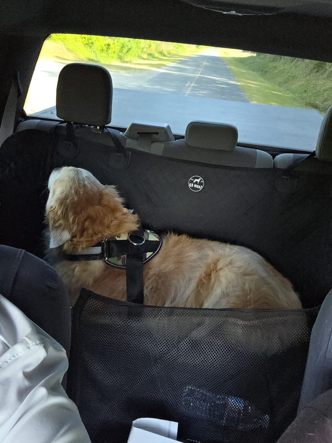 Customer photo review of NEW Waterproof Hard Bottom Car & Truck Seat Foldable Hammock Cover With Storage Pockets, Side Flaps, Headrest Straps, Seat Anchors, & Mesh Window (+FREE SAFETY BELT!)
