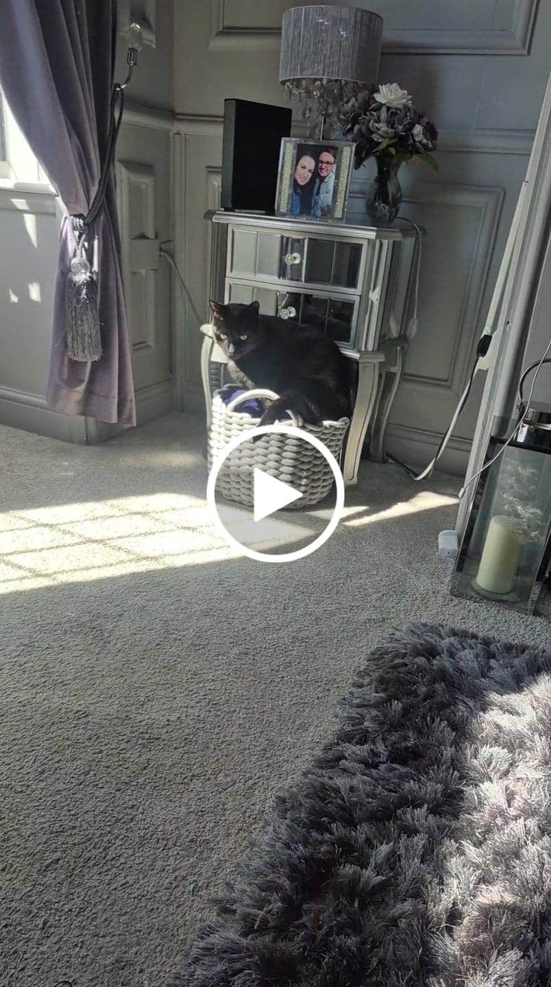 Customer video review of Breathe Easy Cat Cold, Sneezing & Respiratory Support