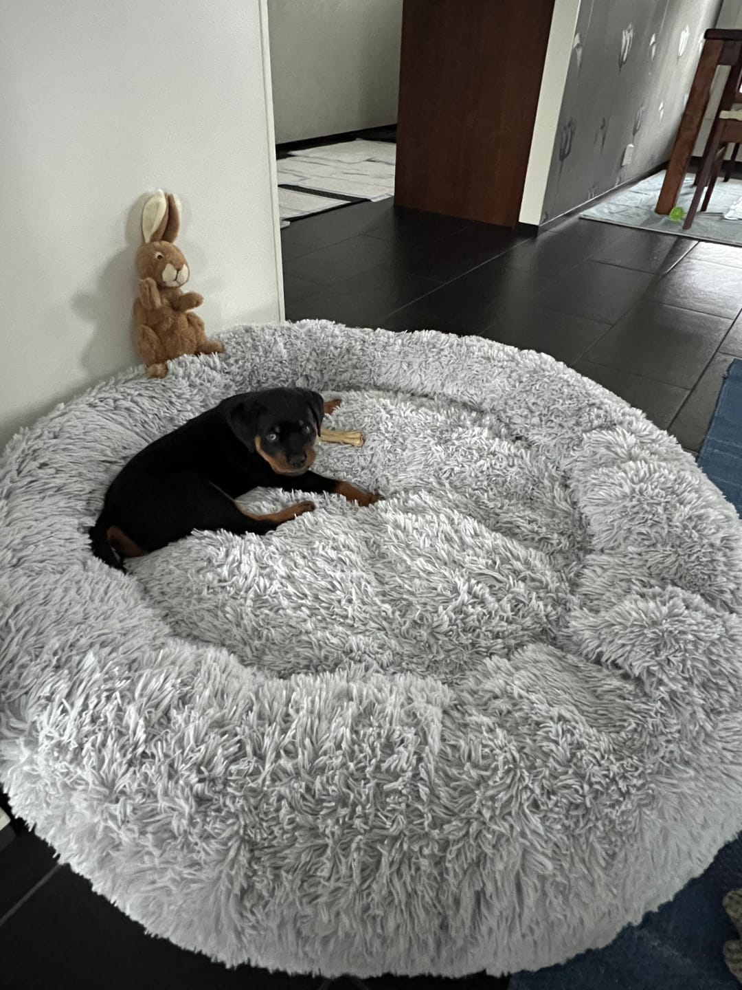 Customer photo review of CalmBed – Ehkäisee stressiä ja lievittää ahdistusta