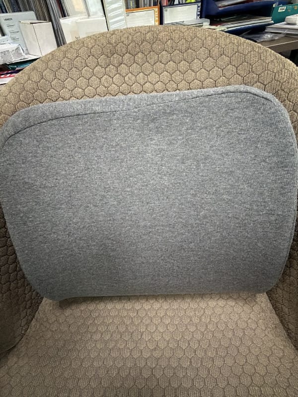 Customer photo review of Getha Guardian Lumbar Support Latex Cushion